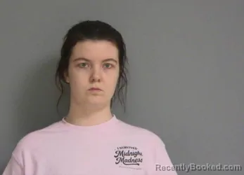 Recent Mugshot Image for JORDAN M REDD in La Salle County, Illinois