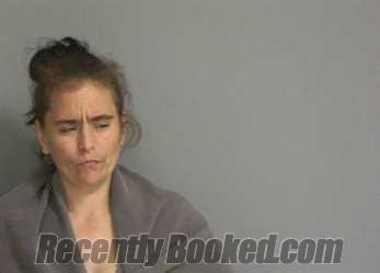 Recent Mugshot Image for STEPHANIE CAROL TANNER in La Salle County, Illinois