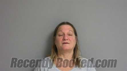 Recent Mugshot Image for DEBRA L KING in La Salle County, Illinois