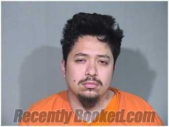 Recent Mugshot Image for TRINIDAD FERNANDEZ in McHenry County, Illinois