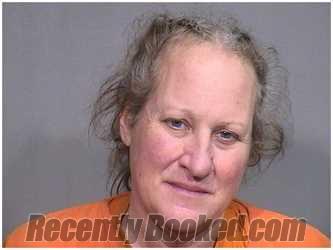 Recent Mugshot Image for MICHELLE J KNEZ in McHenry County, Illinois