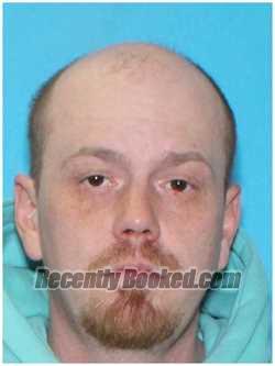 Recent Booking / Mugshot for DAVID L WEAVER in McHenry County, Illinois