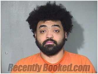 Recent Mugshot Image for REGINALD BANKS in McHenry County, Illinois