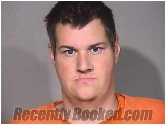 Recent Mugshot Image for BRANDON STEVENS in McHenry County, Illinois
