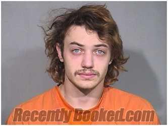 Recent Mugshot Image for EFIN NOLTE in McHenry County, Illinois
