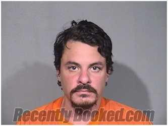 Recent Mugshot Image for MICHAEL LOSEY in McHenry County, Illinois