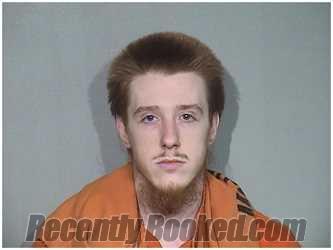 Recent Mugshot Image for BRADLEY TIEMAN in McHenry County, Illinois