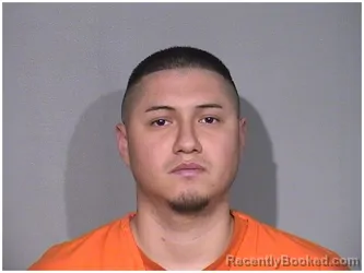 Recent Mugshot Image for LORENZO LAMAS in McHenry County, Illinois