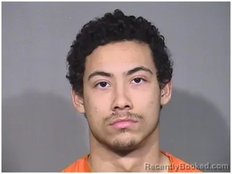 Recent Mugshot Image for JAVIER NEVAREZ-LOTT in McHenry County, Illinois