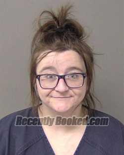 Recent Mugshot Image for HALEE ELIZABETH WILSON in Macon County, Illinois