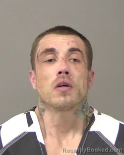 Recent Mugshot Image for MARC JAMES TRAMMEL in Macon County, Illinois