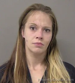 Recent Mugshot Image for ALEXIS B HOWELL in Macon County, Illinois