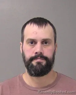 Recent Mugshot Image for ZACHERY RYAN WICKLUND in Macon County, Illinois