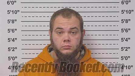 Recent Mugshot Image for BRANDON MARTIN in Macoupin County, Illinois
