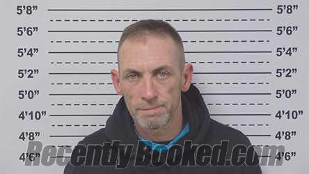 Recent Mugshot Image for TED HANNER in Macoupin County, Illinois