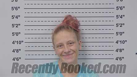 Recent Mugshot Image for ELIZABETH HART in Macoupin County, Illinois