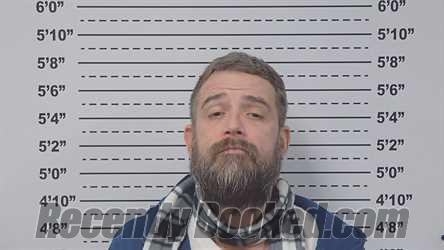 Recent Mugshot Image for STEVEN CALLENDER in Macoupin County, Illinois