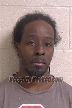 Recent Booking / Mugshot for MICHAEL MITCHELL in Madison County, Illinois
