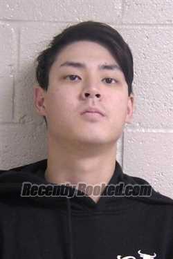 Recent Mugshot Image for LOGAN STRACK in Madison County, Illinois