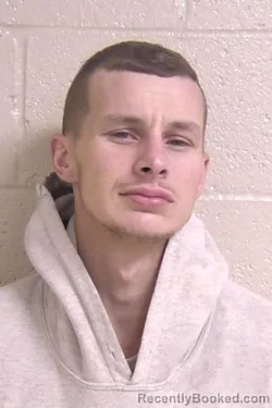 Recent Mugshot Image for BRANDON RAGUSA in Madison County, Illinois