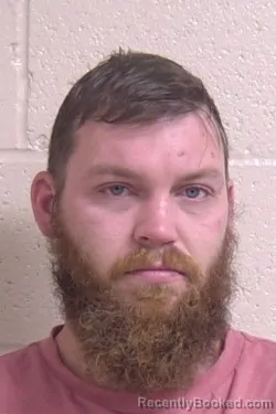 Recent Mugshot Image for MICHAEL BODA in Madison County, Illinois