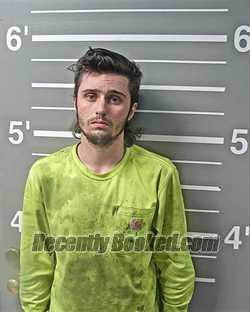 Recent Booking / Mugshot for ETHAN M LAROCHE in Montgomery County, Illinois
