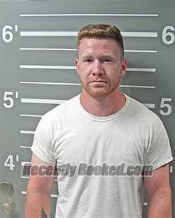 Recent Booking / Mugshot for NOAH E WILLIAMS in Montgomery County, Illinois