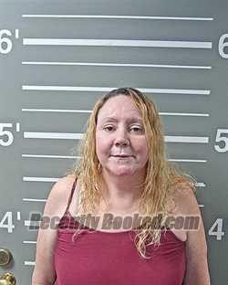 Recent Mugshot Image for AMANDA L ADAMS in Montgomery County, Illinois