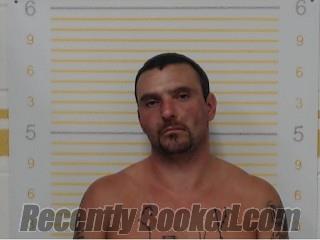 Recent Mugshot Image for David Miller-Downey in Randolph County, Illinois