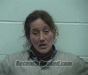 Recent Mugshot Image for MARY D PHILLIPS in Richland County, Illinois