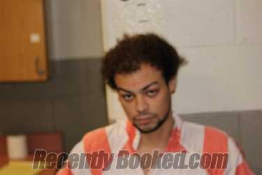 Recent Mugshot Image for EVERETT STELIVAN in Schuyler County, Illinois