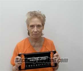 Recent Mugshot Image for TARA LANE SHERROD in Williamson County, Illinois