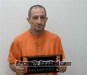 Recent Mugshot Image for JAMES DENEEN LONG in Williamson County, Illinois