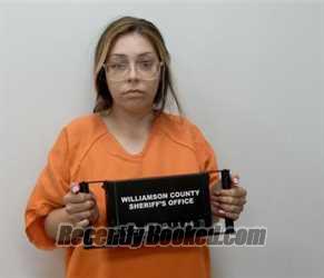 Recent Mugshot Image for ASHLEY N DAVIS in Williamson County, Illinois