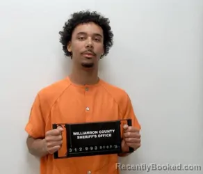 Recent Mugshot Image for JESSE D LAWLER in Williamson County, Illinois