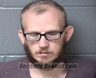 Recent Mugshot Image for STEVEN C DAVIS in Woodford County, Illinois