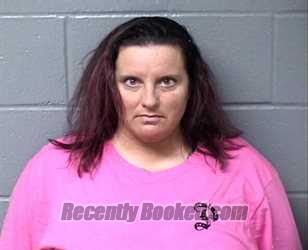 Recent Mugshot Image for KRYSTLE G MYERS in Woodford County, Illinois
