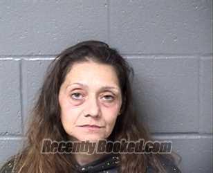 Recent Mugshot Image for NICOLE MARIE DANIELSON in Woodford County, Illinois