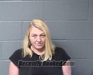 Recent Mugshot Image for MICHELLE L KORTH in Woodford County, Illinois