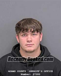 Recent Mugshot Image for DOLAN SCOTT HAYNES in Adams County, Indiana