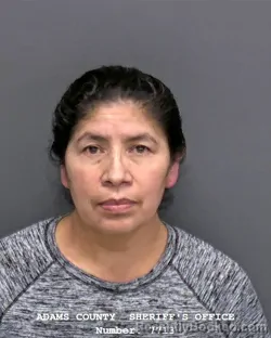 Recent Mugshot Image for ENMA JIMENEZ-ANDRES in Adams County, Indiana