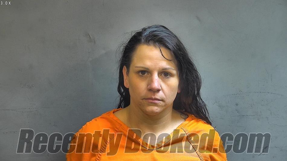 Recent Booking / Mugshot for Stacey L Miller in Boone County, Indiana
