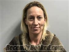 Recent Mugshot Image for Shawntele Renee Philpot in Haywood County, North Carolina