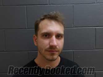 Recent Mugshot Image for Hankins, Damon Lee in Clay County, Indiana
