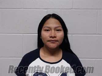 Recent Mugshot Image for YANKUR TANKAMASH, NIEVES in Clay County, Indiana