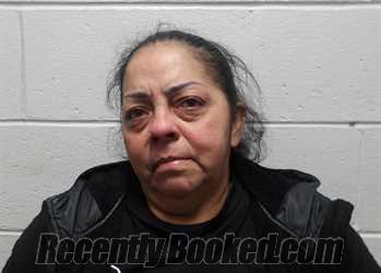 Recent Mugshot Image for NUNEZ-LOPEZ, LILIANA in Clay County, Indiana