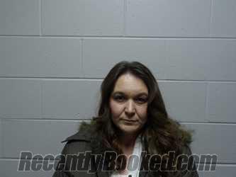 Recent Mugshot Image for CRISAN, ALINA LENUTA in Clay County, Indiana