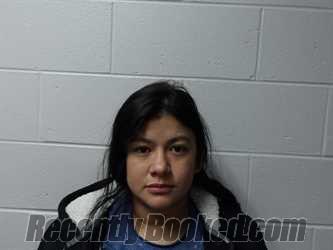 Recent Mugshot Image for ARAUZ-PULIDO, ELSA in Clay County, Indiana