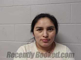 Recent Mugshot Image for VILLARROEL ROSAS, MARLENY in Clay County, Indiana