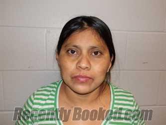 Recent Mugshot Image for MORALES VI DE DIEGO, CATARINA in Clay County, Indiana